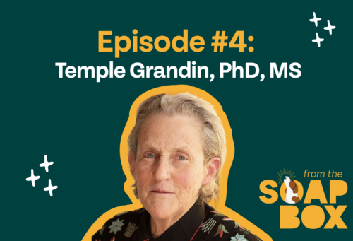 temple on podcast