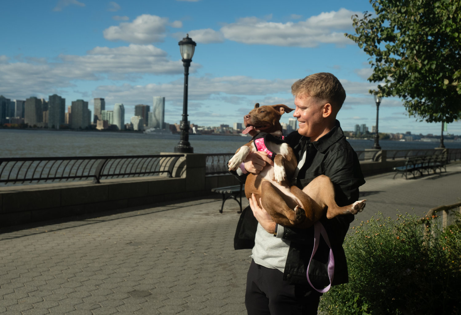 man in New York holding pit bull type dog
