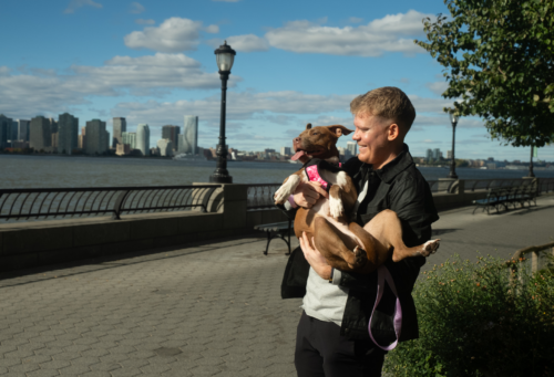 man in New York holding pit bull type dog