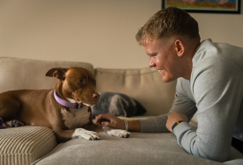 man with pitbull dog on couch