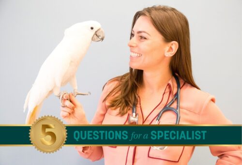 Krista Keller with a Cockatoo