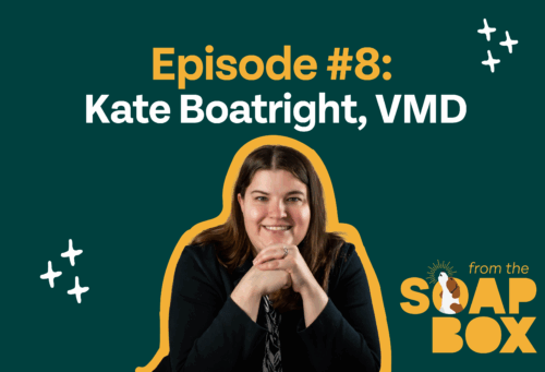 kate boatright on from the soap box podcast thumbnail on green background
