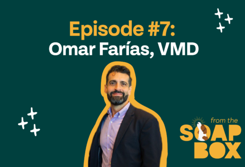Omar web thumbnail