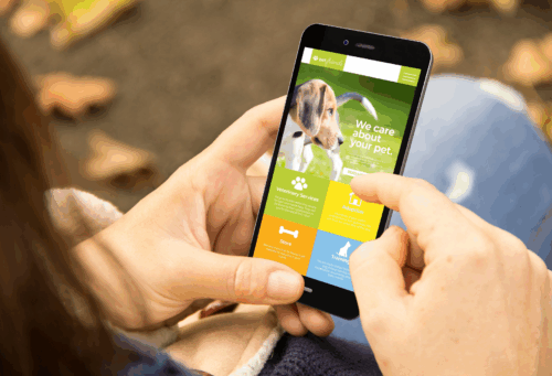 two hands holding a smartphone showing an image of an advertisement for veterinary services featuring an image of a beagle