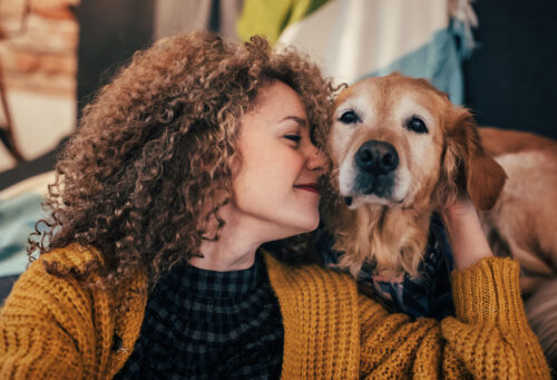Pet owner with senior stage golden retriever