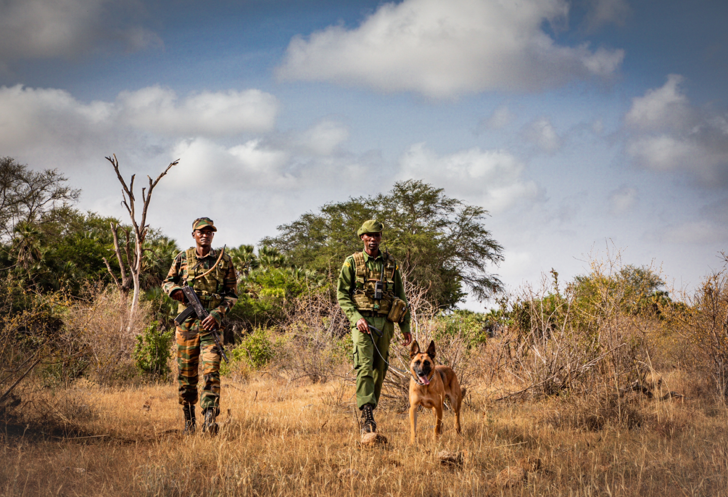 Rangers and Sheldrick Wildlife Trust Canine Unit in Kenya