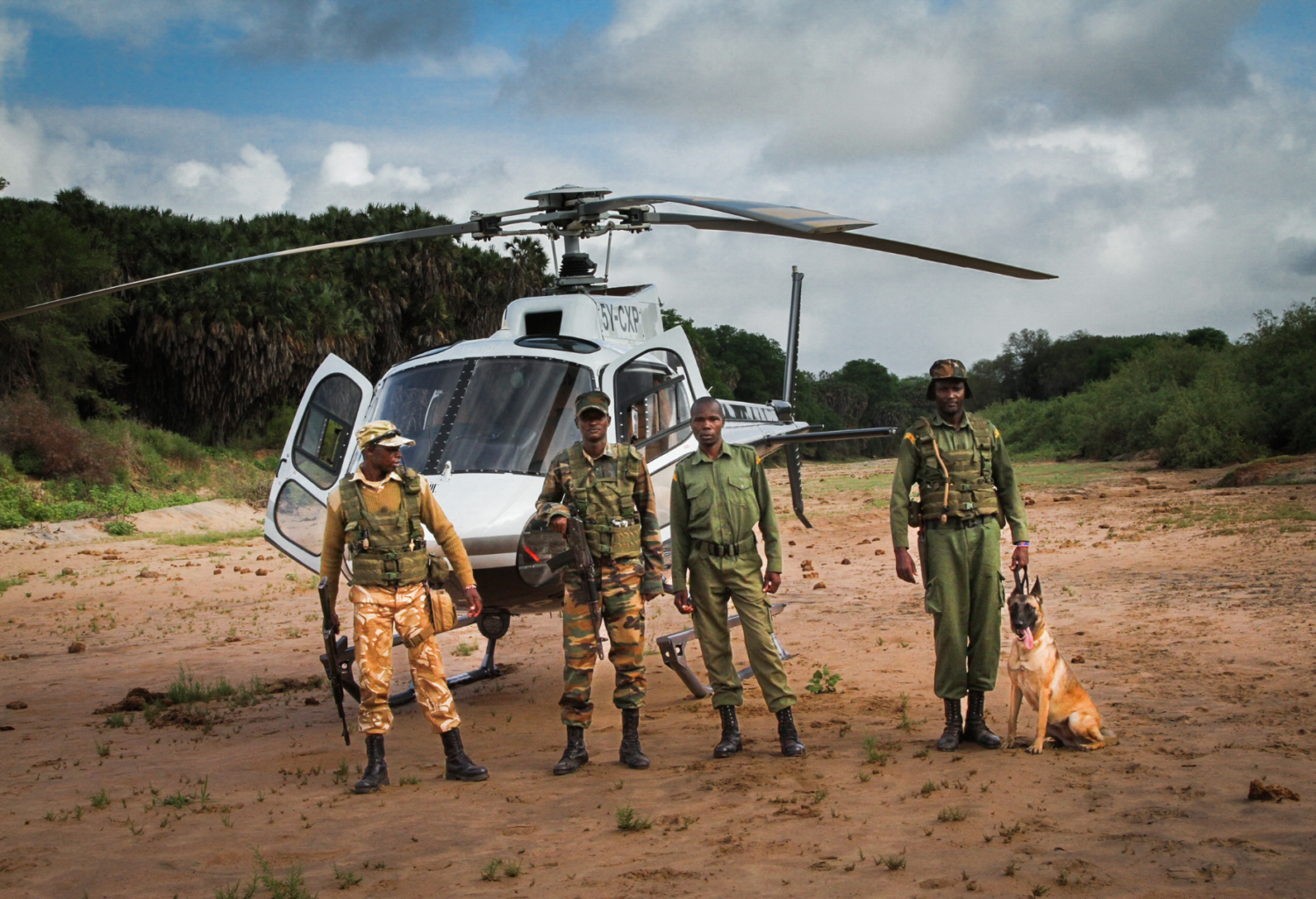 Sheldrick Wildlife Trust Canine Unit lands with helicopter