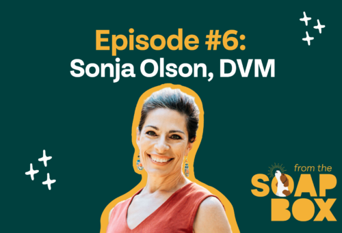 sonja olson thumbnail on green background