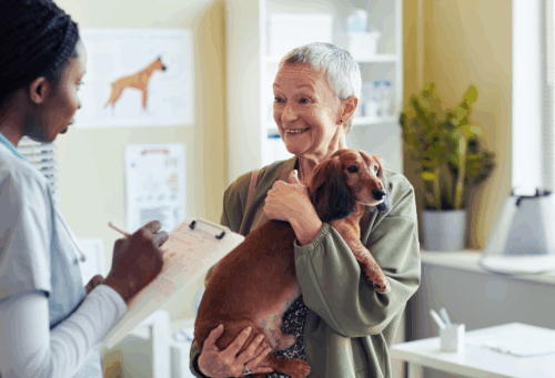 senior woman with dog at veterinary clinic