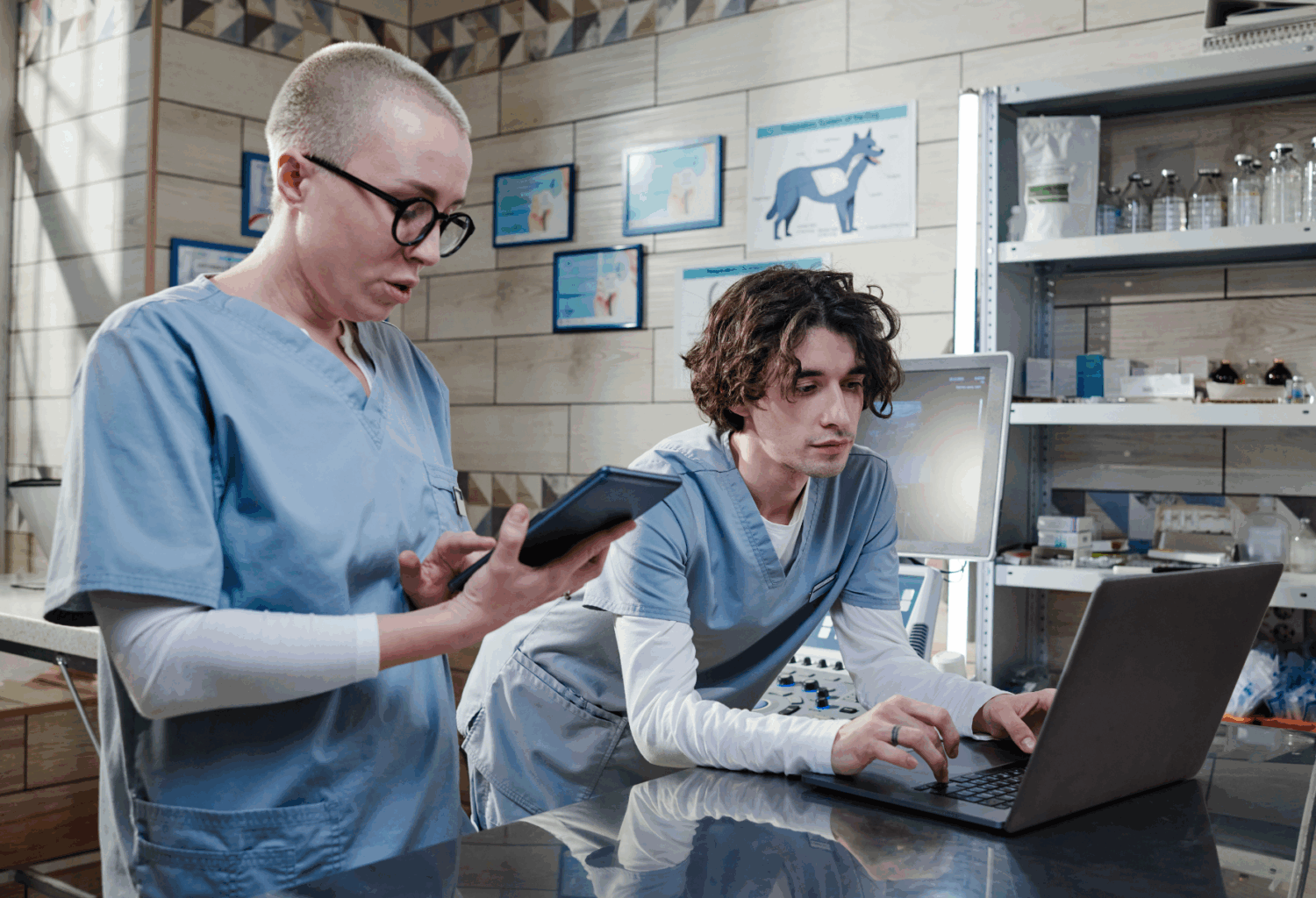 Two veterinary professionals wearing blue scrubs looking at a laptop in a veterinary practice