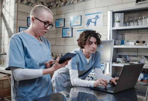 Two veterinary professionals wearing blue scrubs looking at a laptop in a veterinary practice