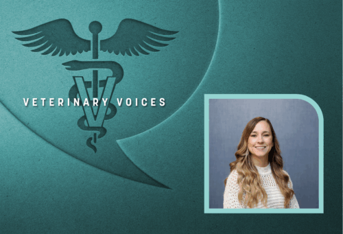 head shot of Carol Hurst with teal Veterinary Voices logo