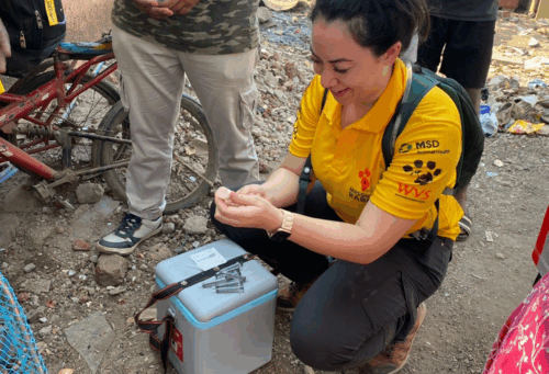 Warda working on one a rabies mission trip