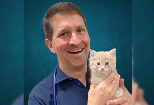Veterinarian Andy Roark holding a kitten