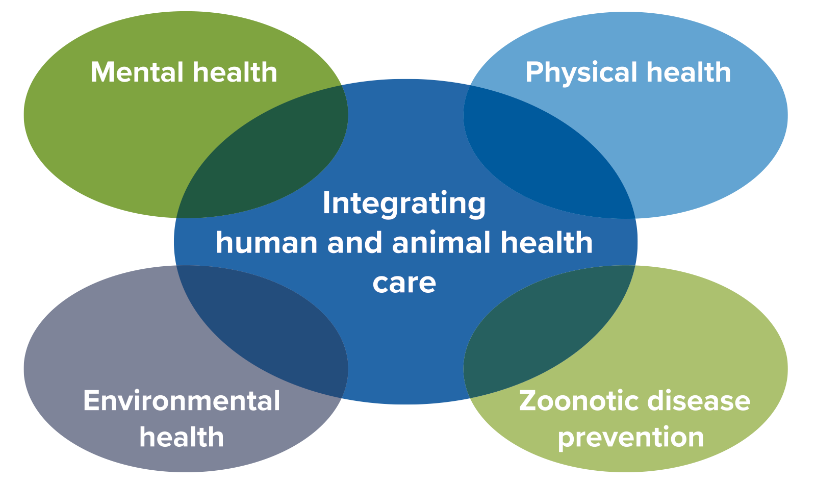FIGURE 3.1 Integrating Health Care in a One Health System Diagram