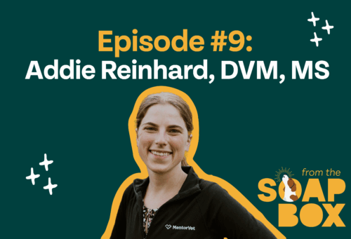addie reinhard thumbnail