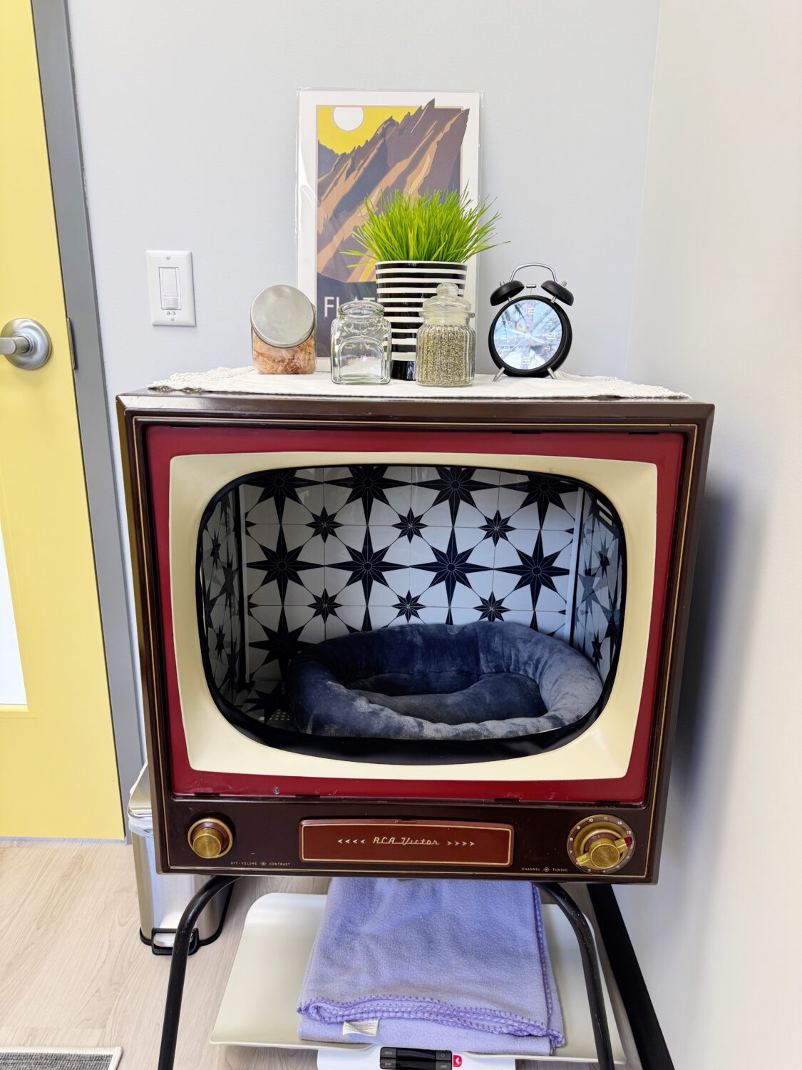 retro TV cat bed
