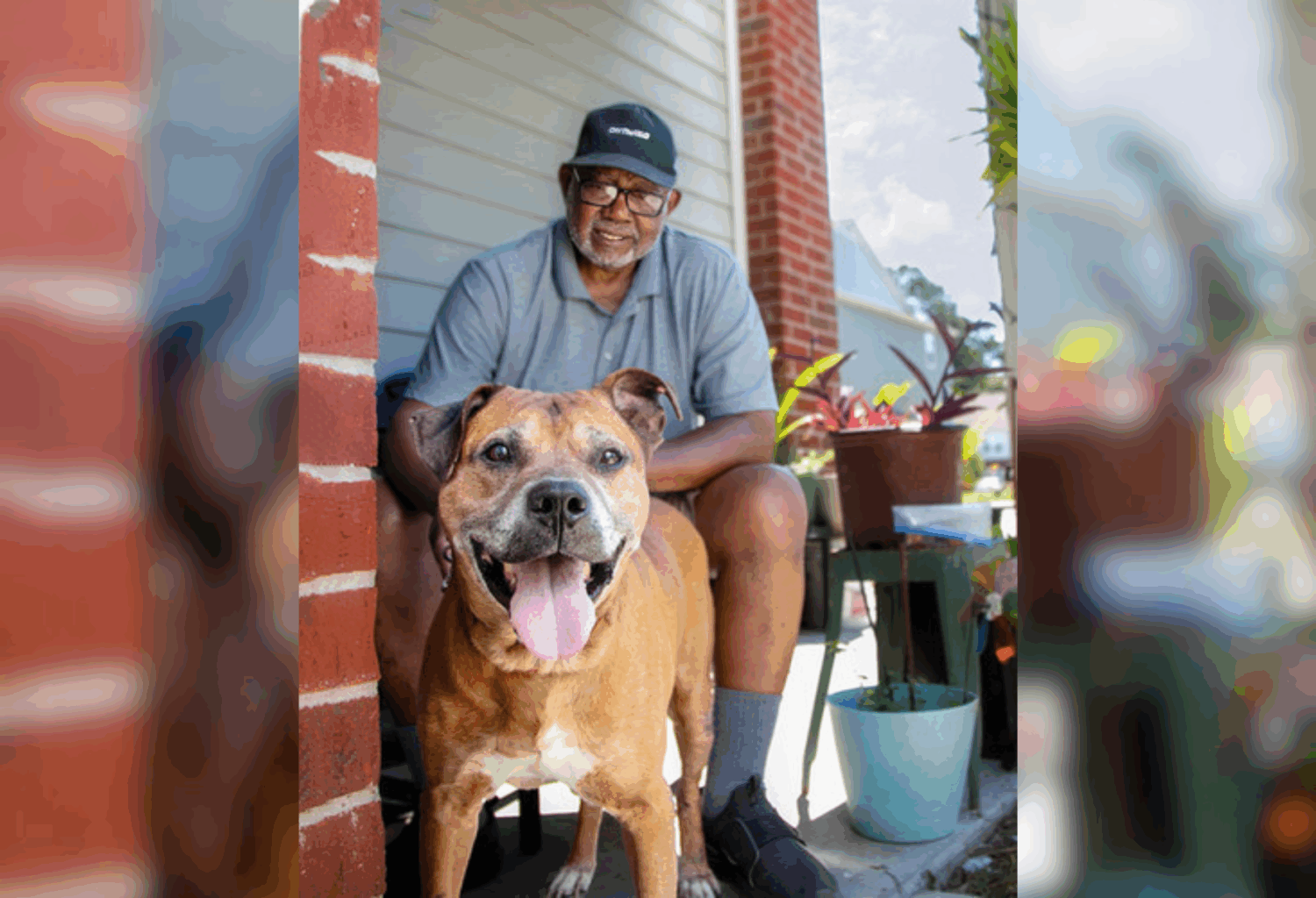 Man and dog