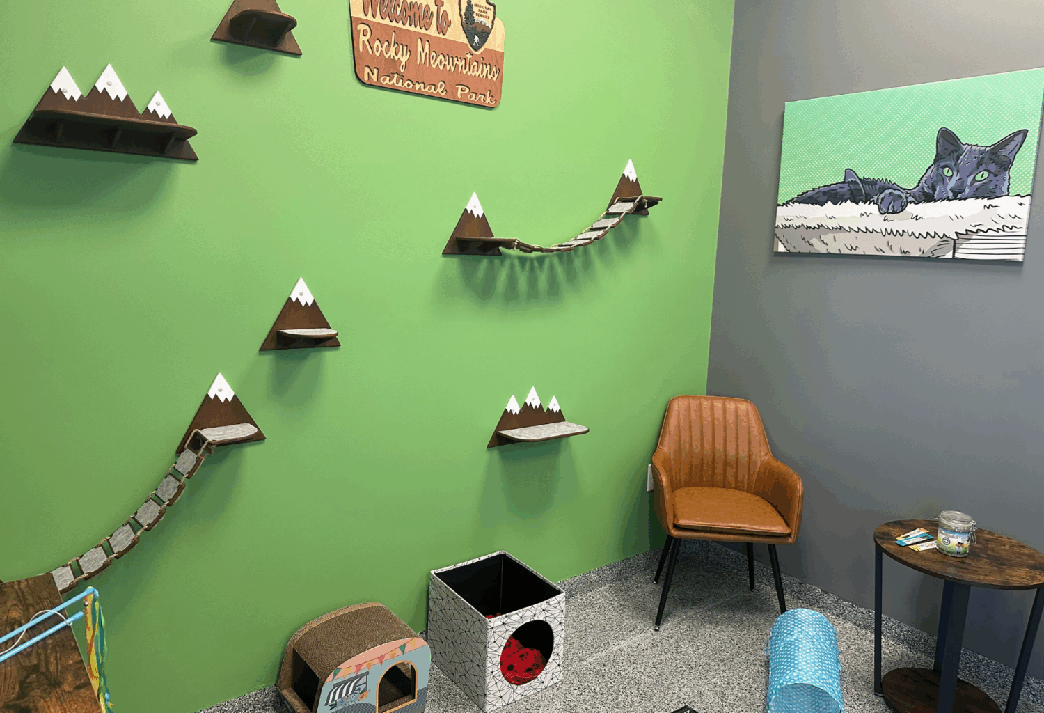 cat friendly exam room in Denver