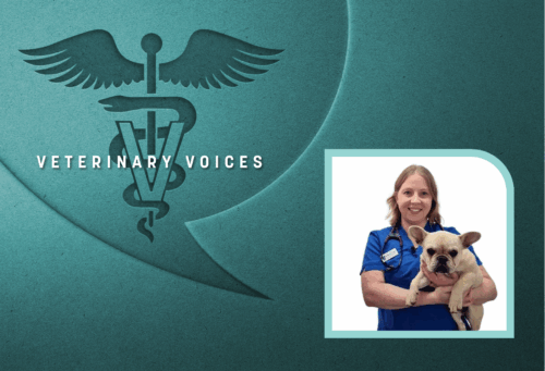 The teal Veterinary Voices logo with a photo of Melissa Kozaruk wearing a blue scrub top and holding a French Bulldog