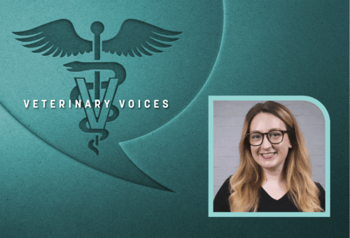 Teal Veterinary Voices logo with photo of Amber LaRock