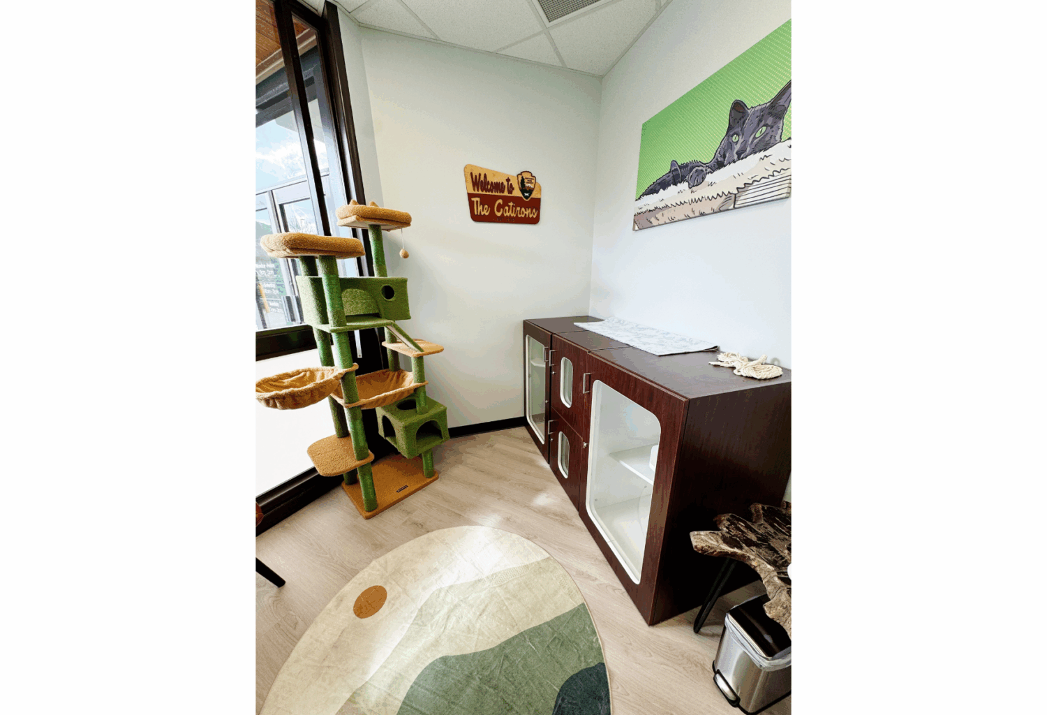 cat-friendly exam room