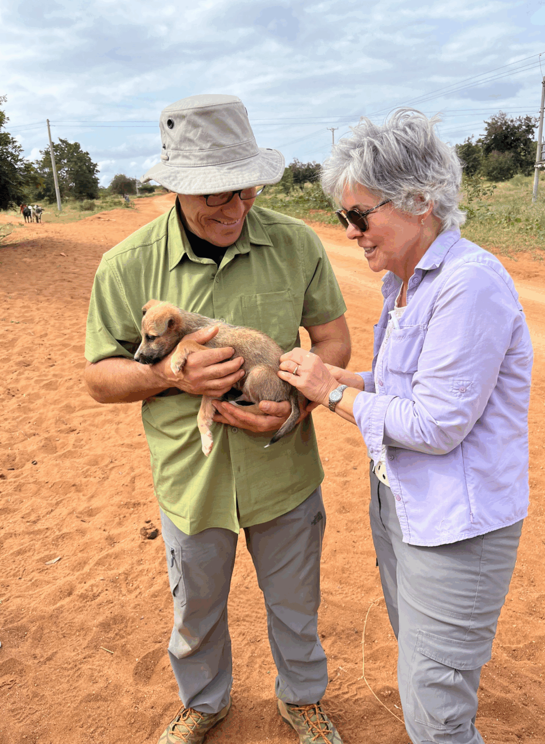 Veterinarian vaccinates puppy in Kenya