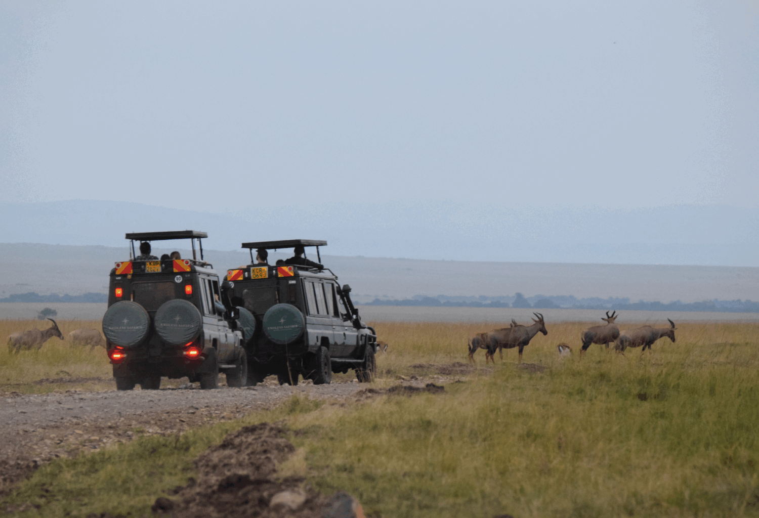 Kenyan safari