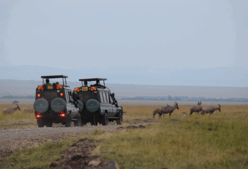 Kenyan safari