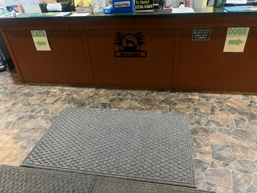 veterinary waiting room