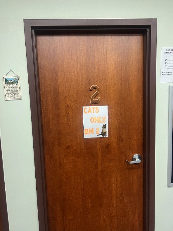cat-only room