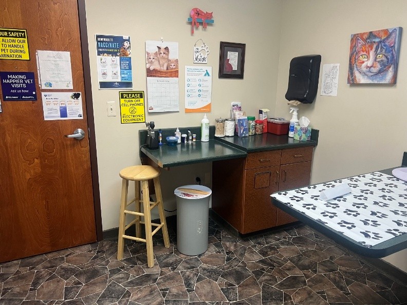 cat exam room