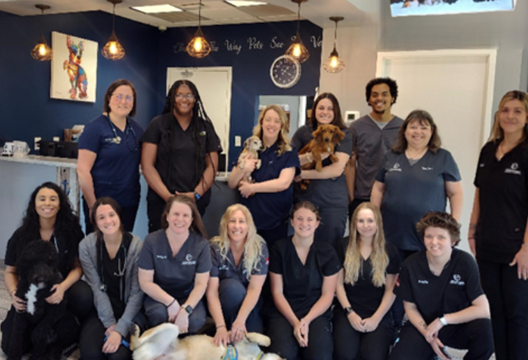Harbor Point Animal Hospital