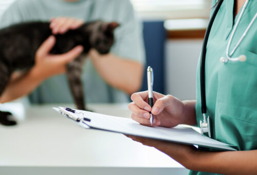 One veterinary professional holding a cat while the other writes on a piece of paper attached to a clipboard.