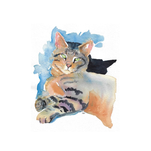 watercolor of a cat