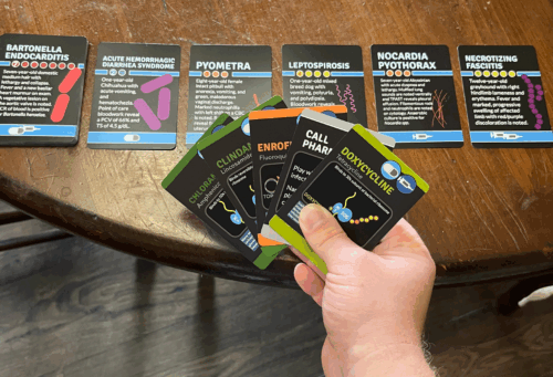 Empiric Small Animal Veterinary Card Game