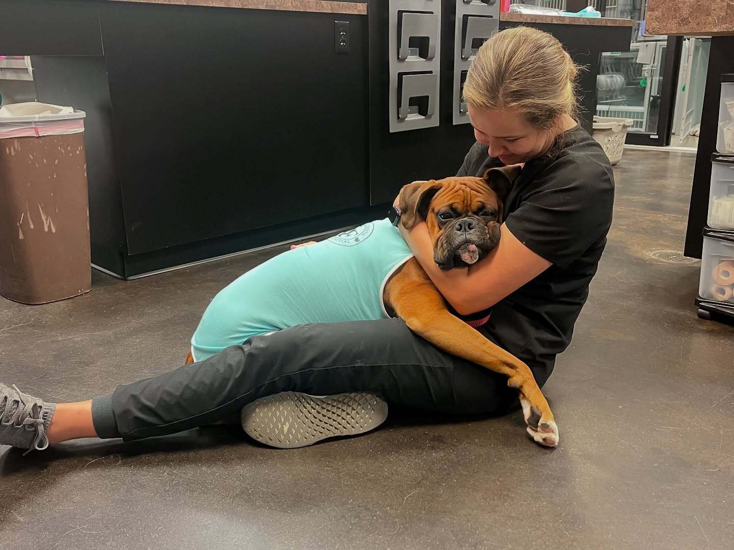 South Forsyth Animal Hospital: Winston gets post-surgery cuddles with Karlie Mason LVT. Photo credit: Sarah Legendre