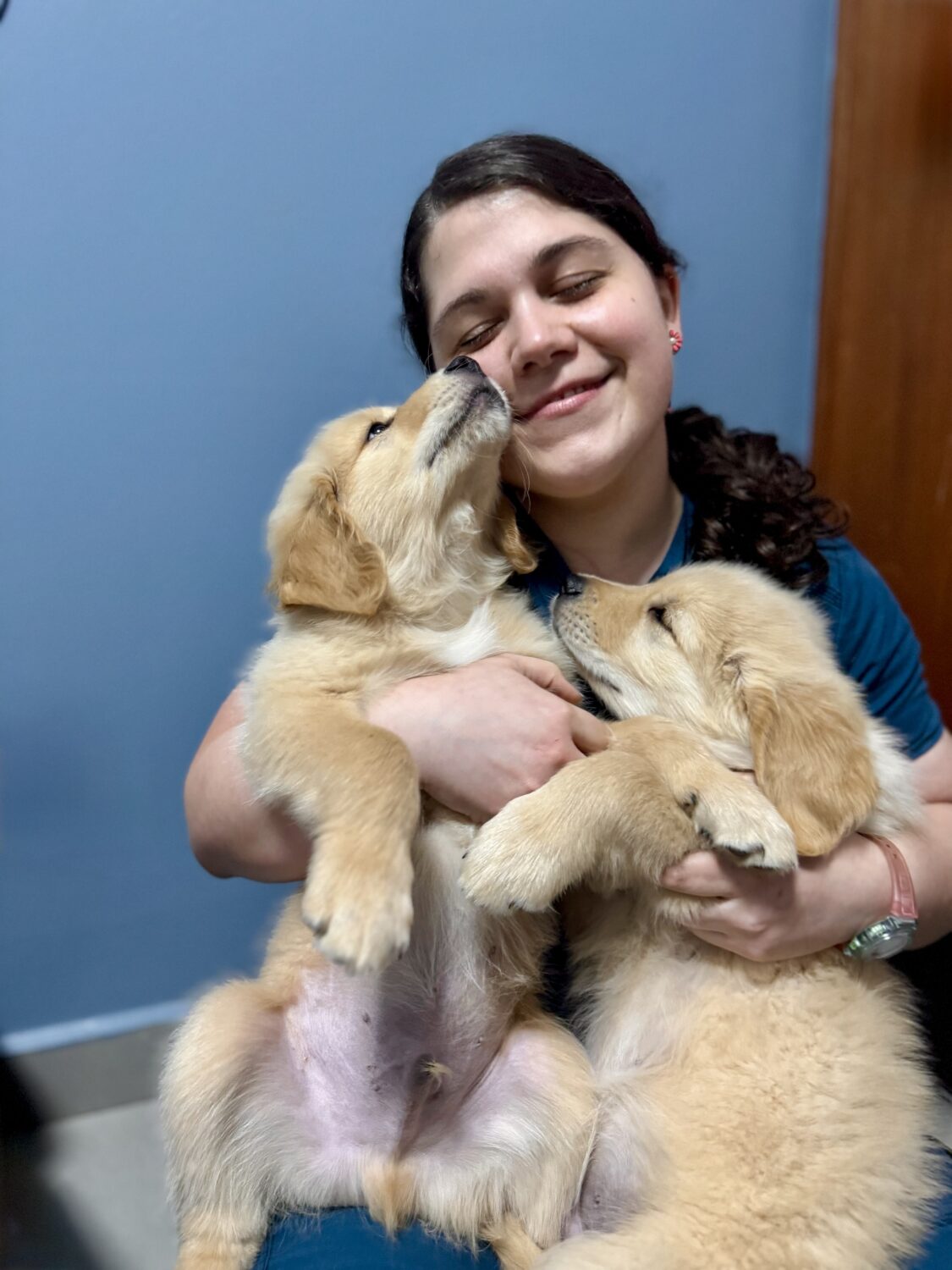 Animal Medical Hospital Lead Veterinary Technician Lorraine Banch sharing smiles and snuggles with a pair of golden retriever puppies during their visit.