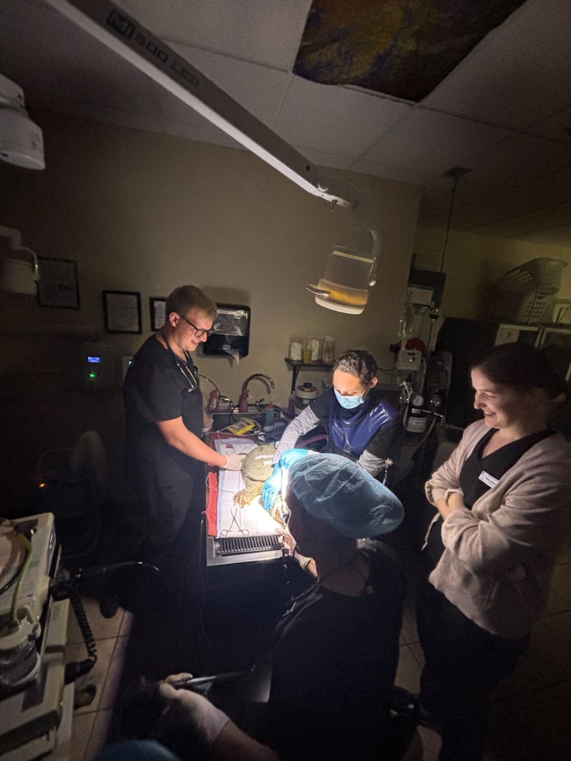 West Ridge Animal Hospital: Saving a turtle that swallowed a fishing hook. WIth Jenny Oglesby DVM and technician staff. Photo credit: West Ridge Animal Hospital