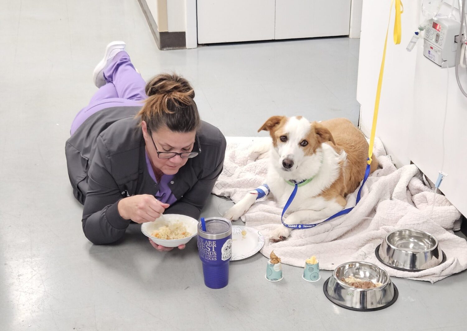 Thunder Bay Veterinary Urgent Care: During her stay at Urgent Care, Hazel was kept in the treatment area. We all fell in love with her! We wanted her to eat... anything! Rebecca Moutard, LVT, got on the floor, eating her lunch, trying to entice Hazel to eat. Photo credit: Rebecca Sexton