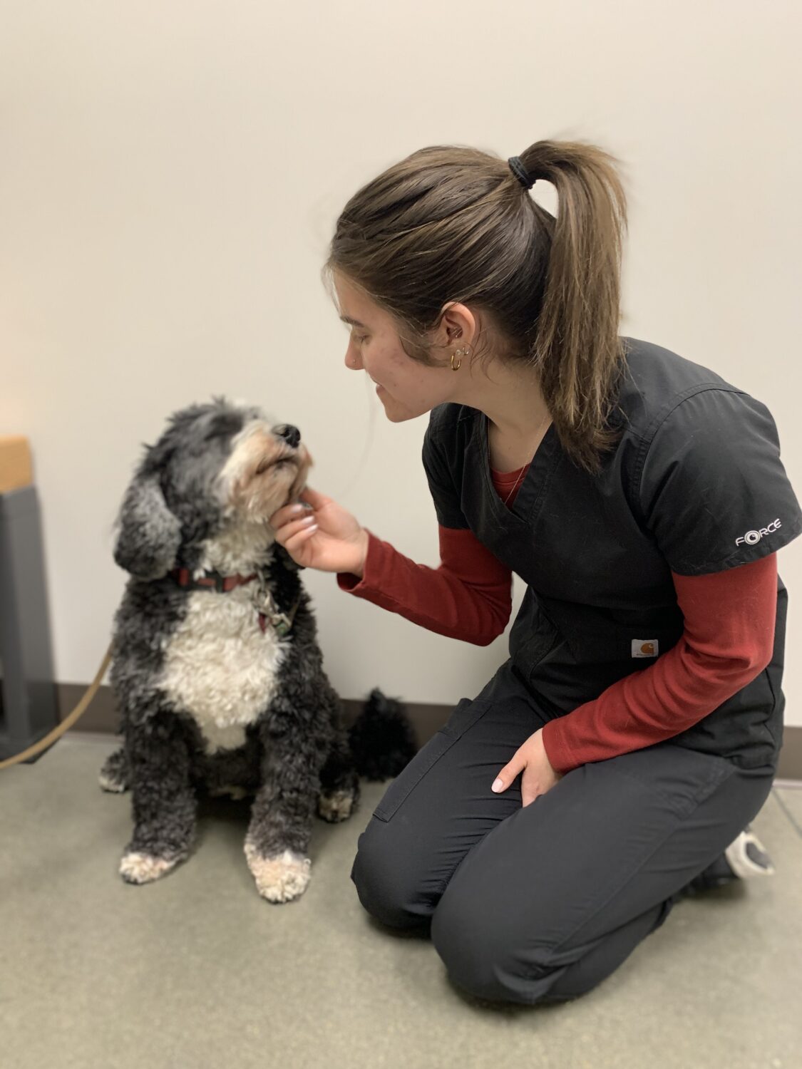 Rylee Dean, CVT, making exam time a little more comfortable for one lucky pup.