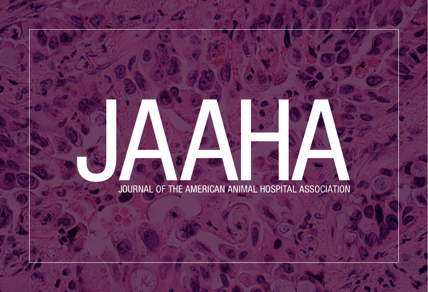 JAAHA logo