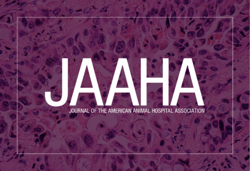 JAAHA logo