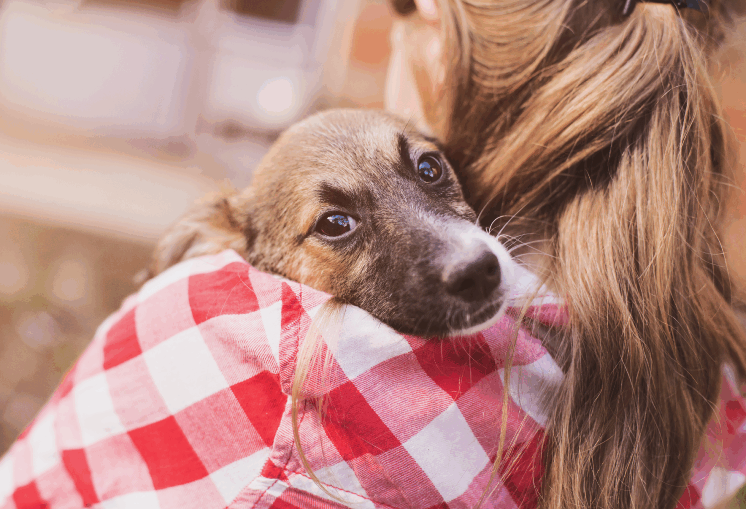 woman holding dog