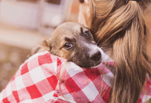 woman holding dog
