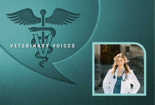 Teal Veterinary Voices logo with a photo of Emly Merry wearing a white lab coat and a stethoscope around her neck