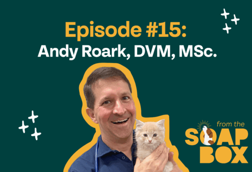 Andy Roark podcast