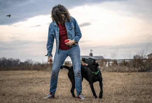 veterinarian and working dog