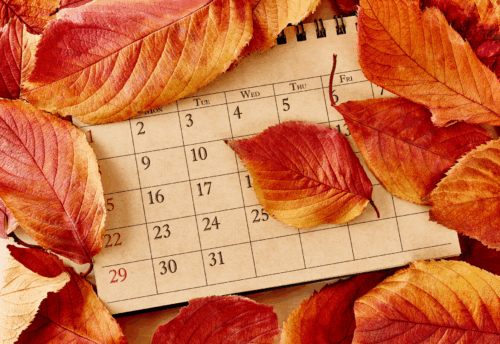A calendar sits half buried under bright fall leaves