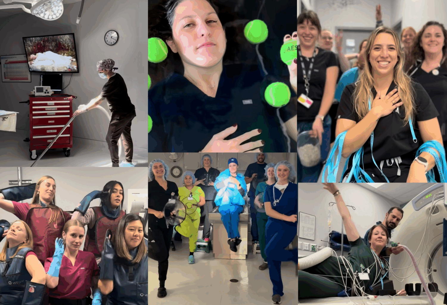 A photo collage of scenes from the Animal Emergency and Specialty Center's The Fate of Ophelia music video